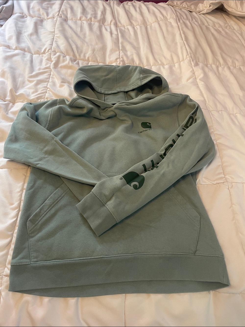 Carhartt Sage Green Logo Hoodie - young Men's Pullover XL 18/20